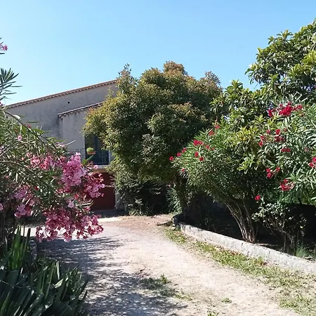 Maison Individuelle Plein Centre Avec Jardin ,Au Pied Du Mont Ventoux Malaucene Exterior photo