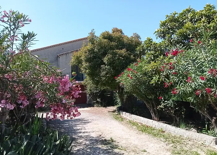 Maison Individuelle Plein Centre Avec Jardin ,Au Pied Du Mont Ventoux
