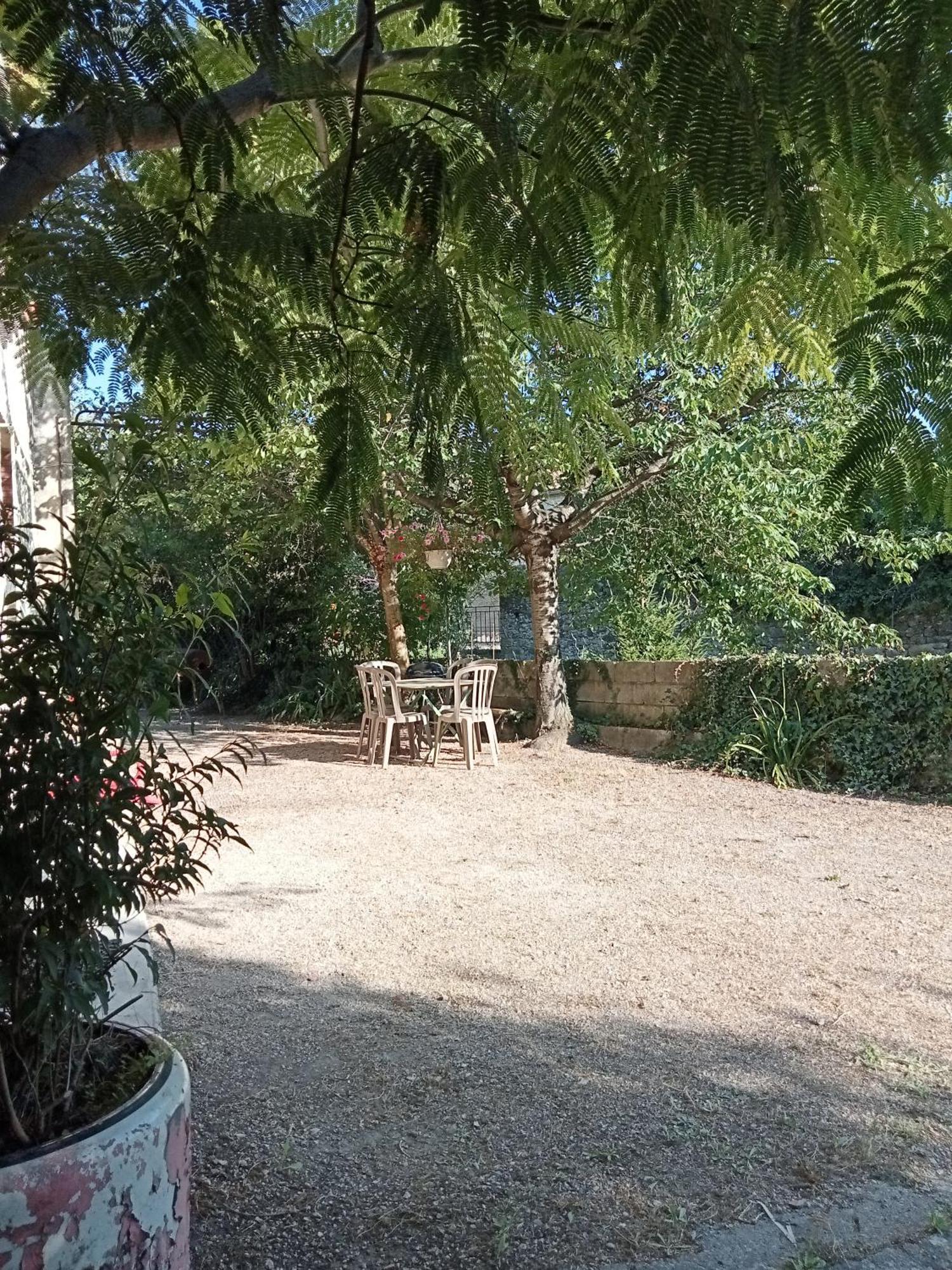 Maison Individuelle Plein Centre Avec Jardin ,au Pied Du Mont Ventoux Malaucene